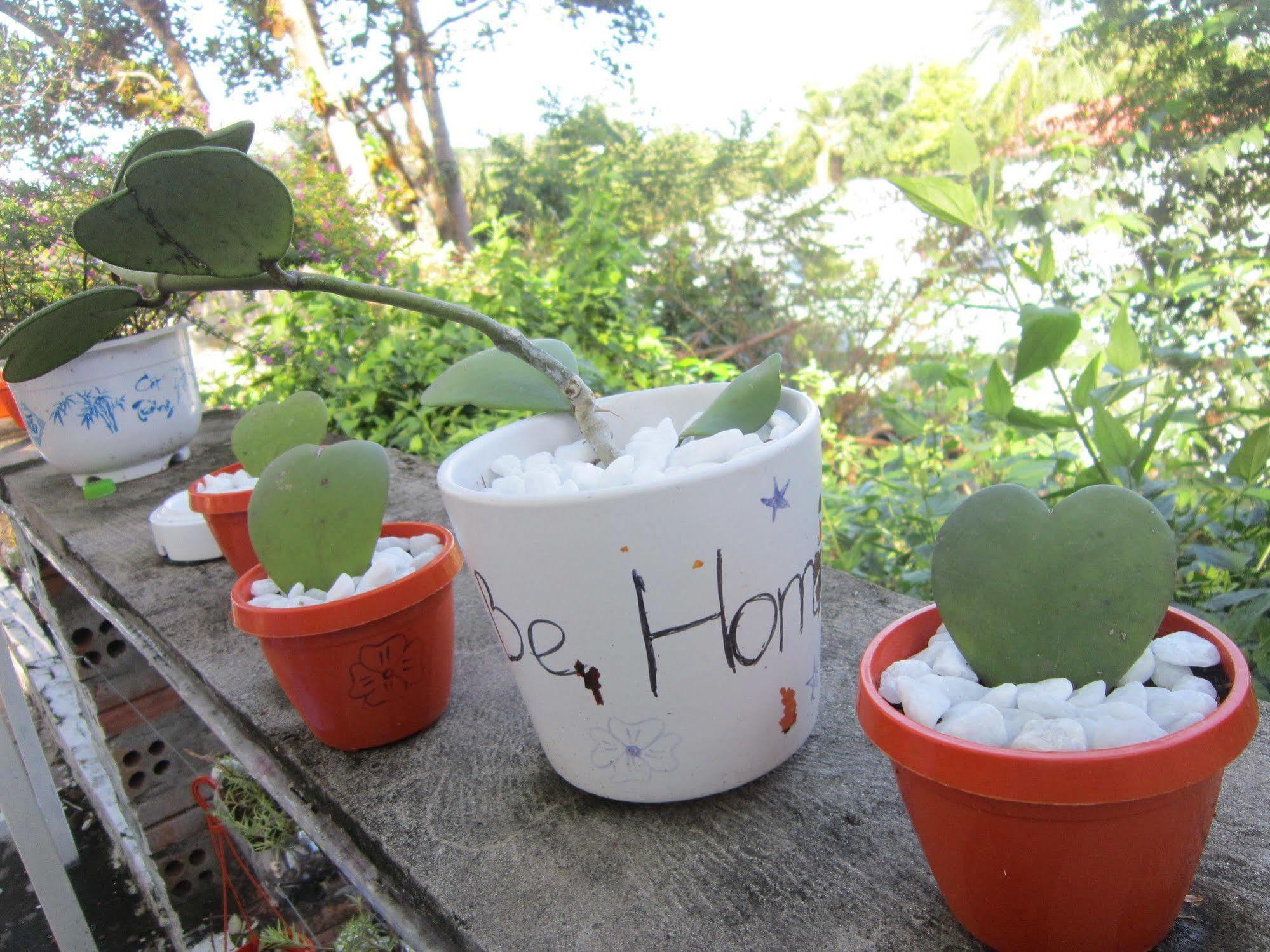 Be Home Hostel Phu Quoc Exteriör bild