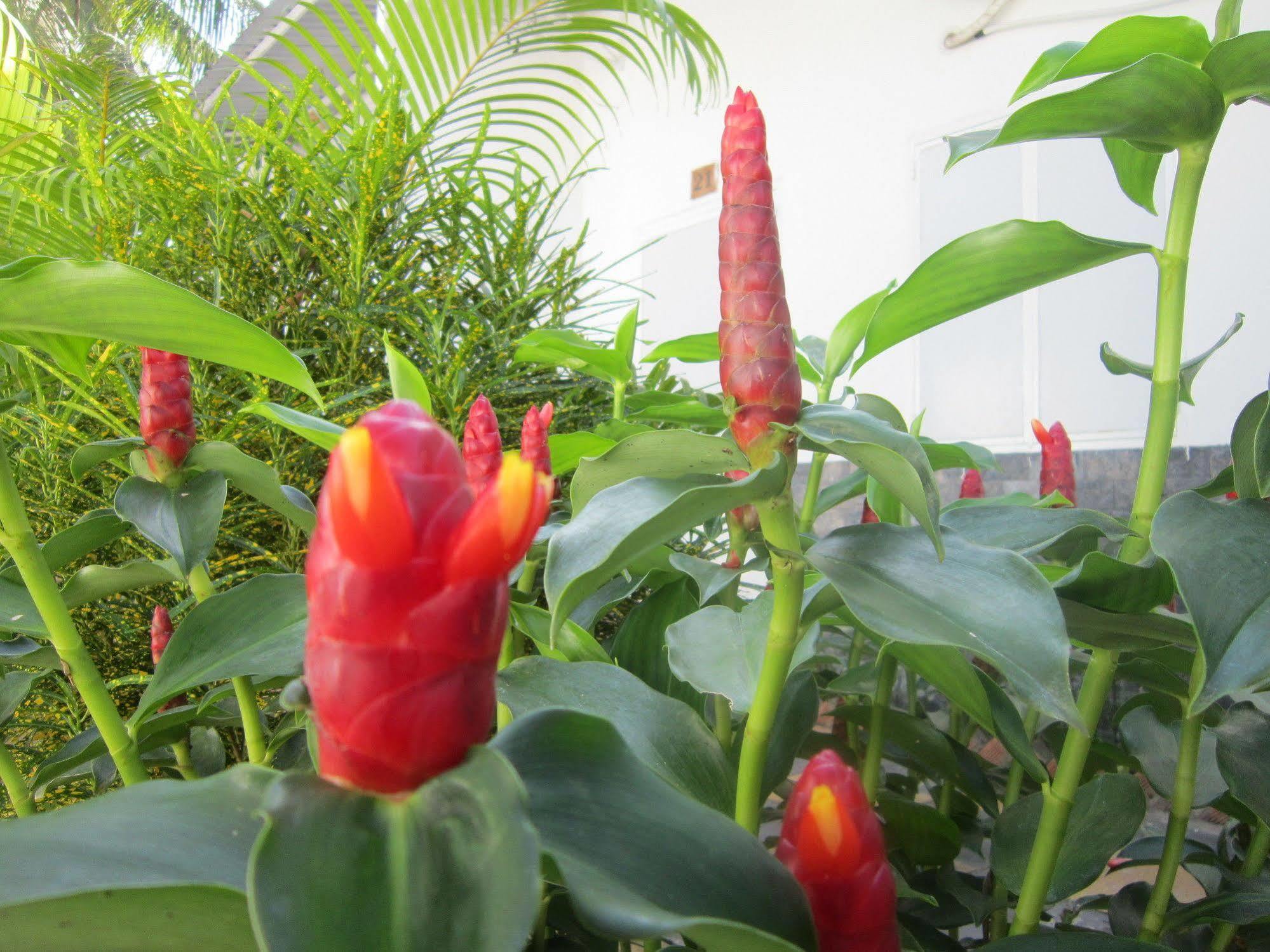 Be Home Hostel Phu Quoc Exteriör bild