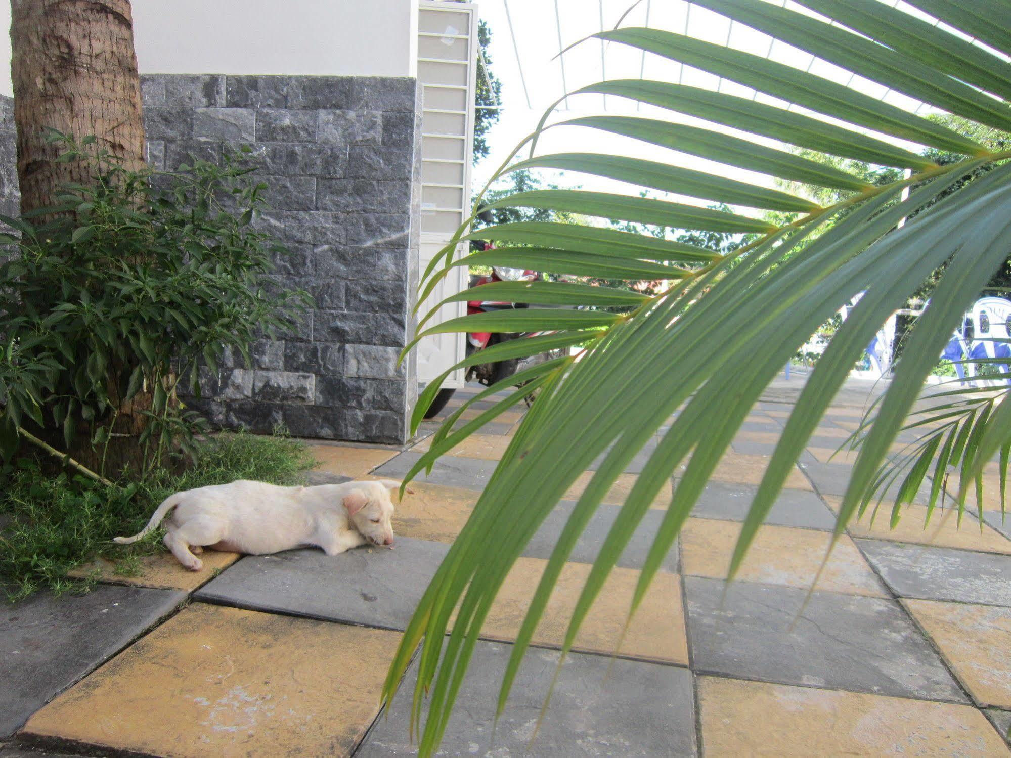 Be Home Hostel Phu Quoc Exteriör bild